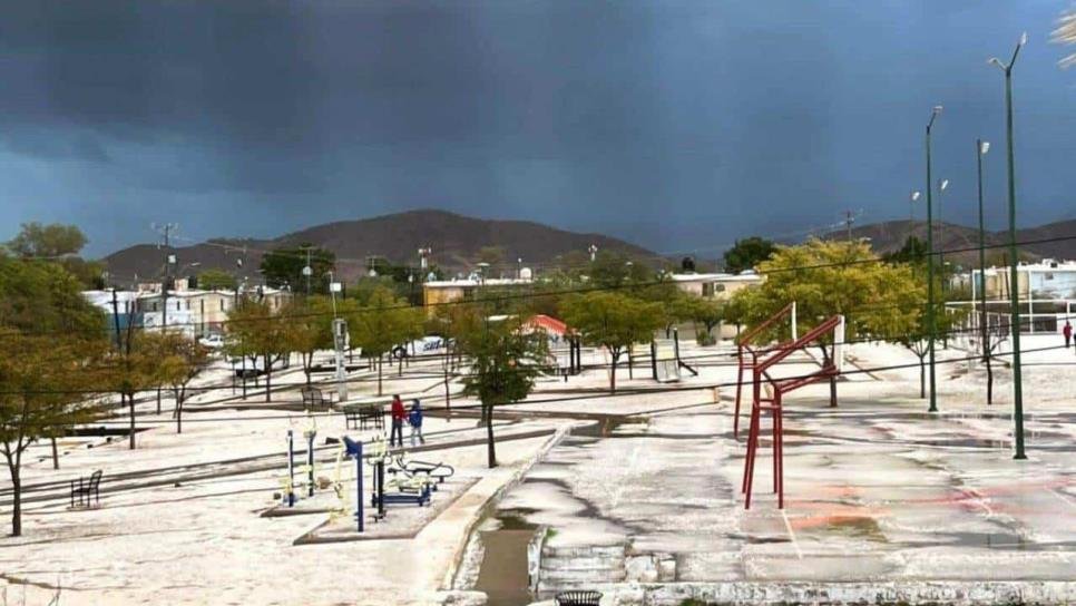 ¿Puede caer nieve en Hermosillo? Meteorólogo explica qué pasa con el clima en la capital de Sonora